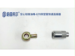 Hollow dumpling oil nozzle-G70 special-shaped pipe quick connector