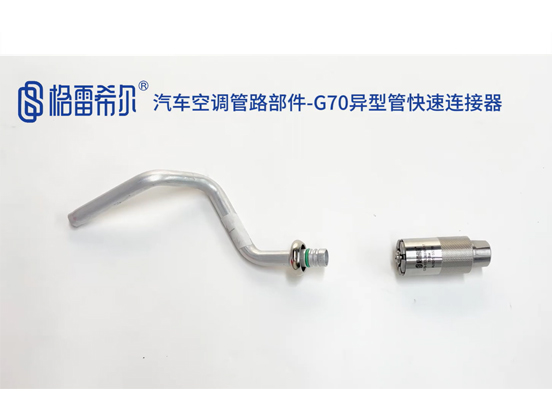 Automotive Air Conditioning Pipe Parts-G70 Special-shaped Pipe Quick Connector