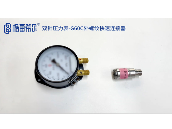 Double needle pressure gauge-G60C external thread quick connector