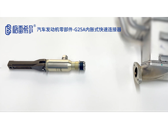 Automotive Engine Parts-G25A Internal Expansion Quick Coupling