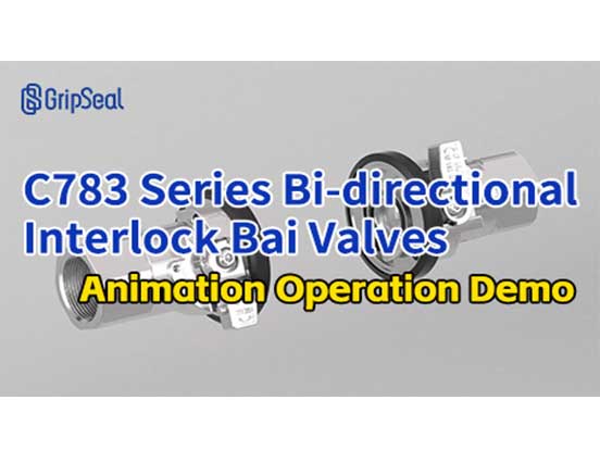 C783 Series Two-Way Interlocking Ball Valve - Presentation